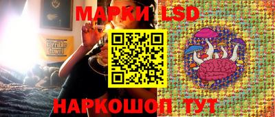jwh Ярославль