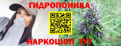 крисы Янаул
