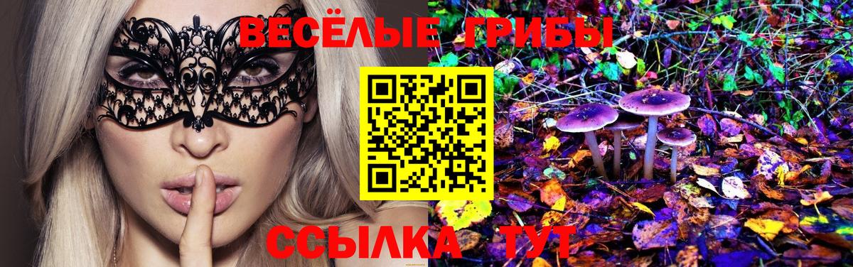 Псилоцибиновые грибы Cubensis  Вход с VPN  Бийск 