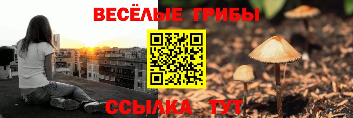 Псилоцибиновые грибы MAGIC MUSHROOMS Бийск